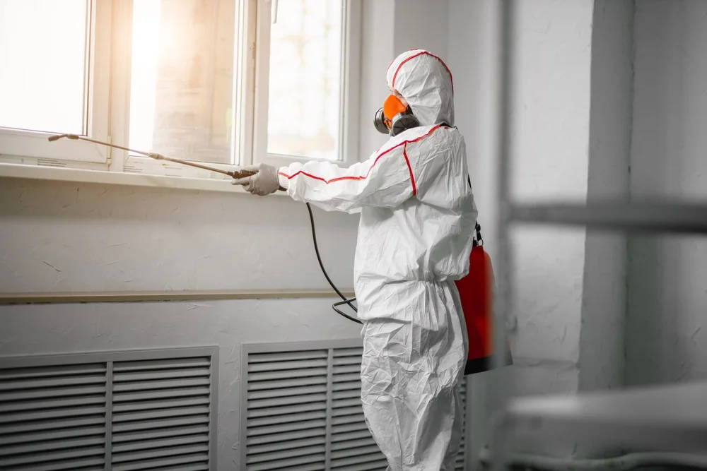 Professional mold remediation services in Greenfield, OH